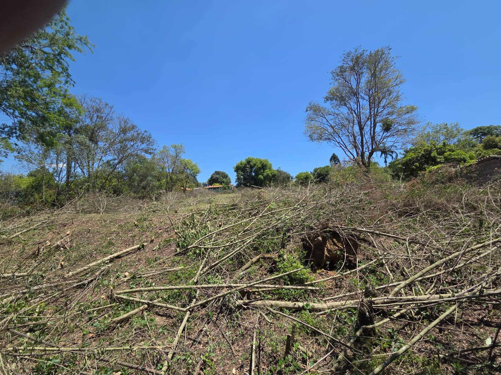 Terreno, 5600 m² - Foto 7