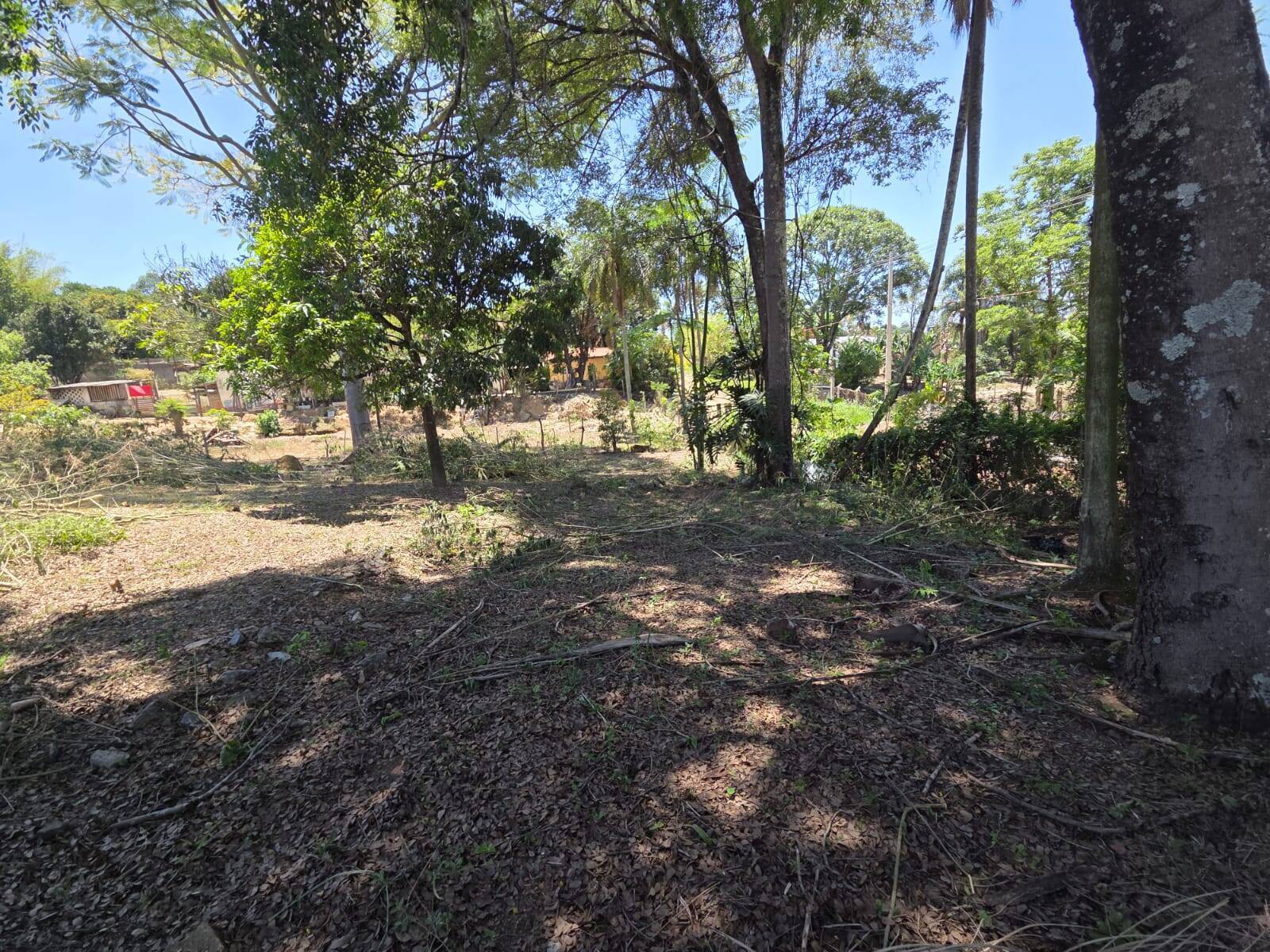 Terreno, 5600 m² - Foto 8