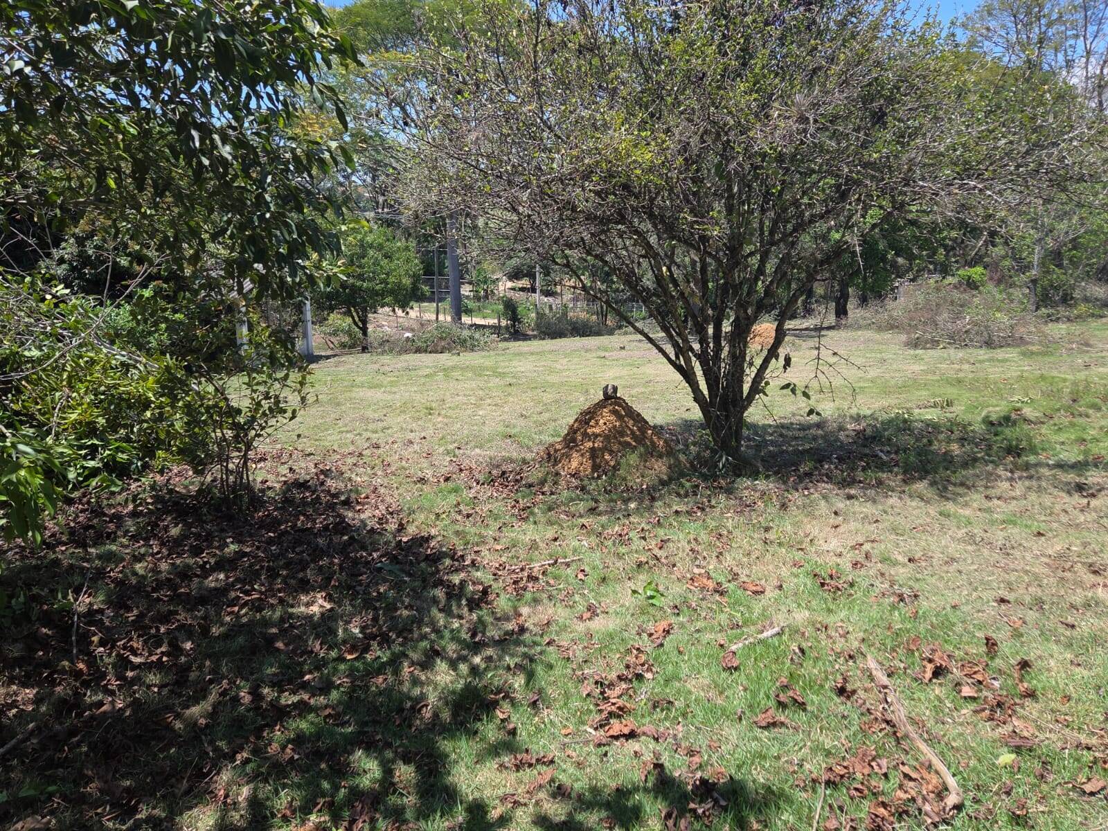 Terreno, 5600 m² - Foto 11
