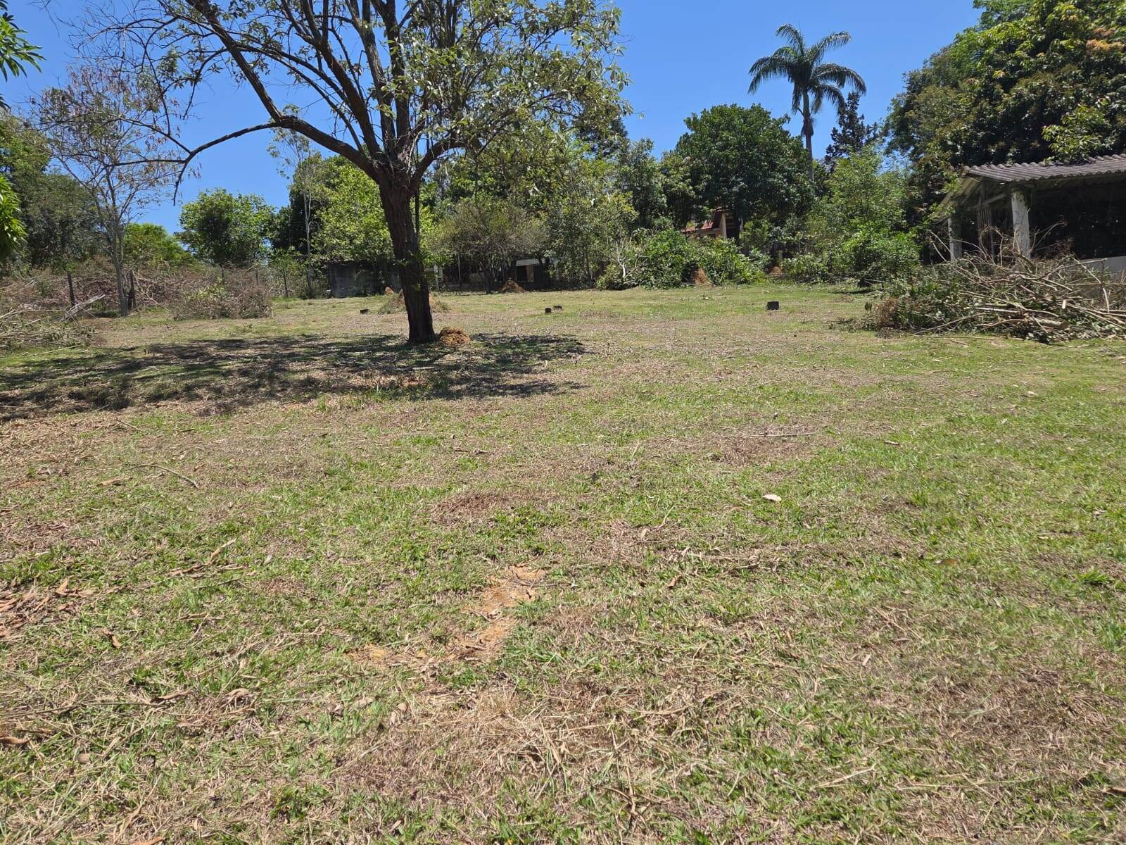 Terreno, 5600 m² - Foto 13