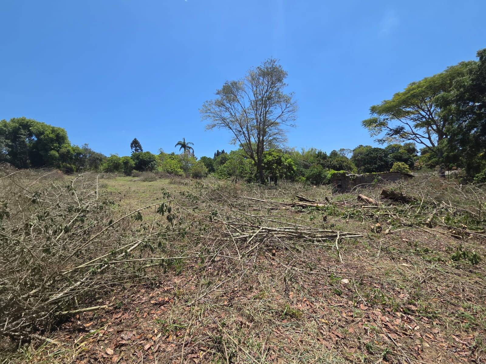 Terreno, 5600 m² - Foto 12