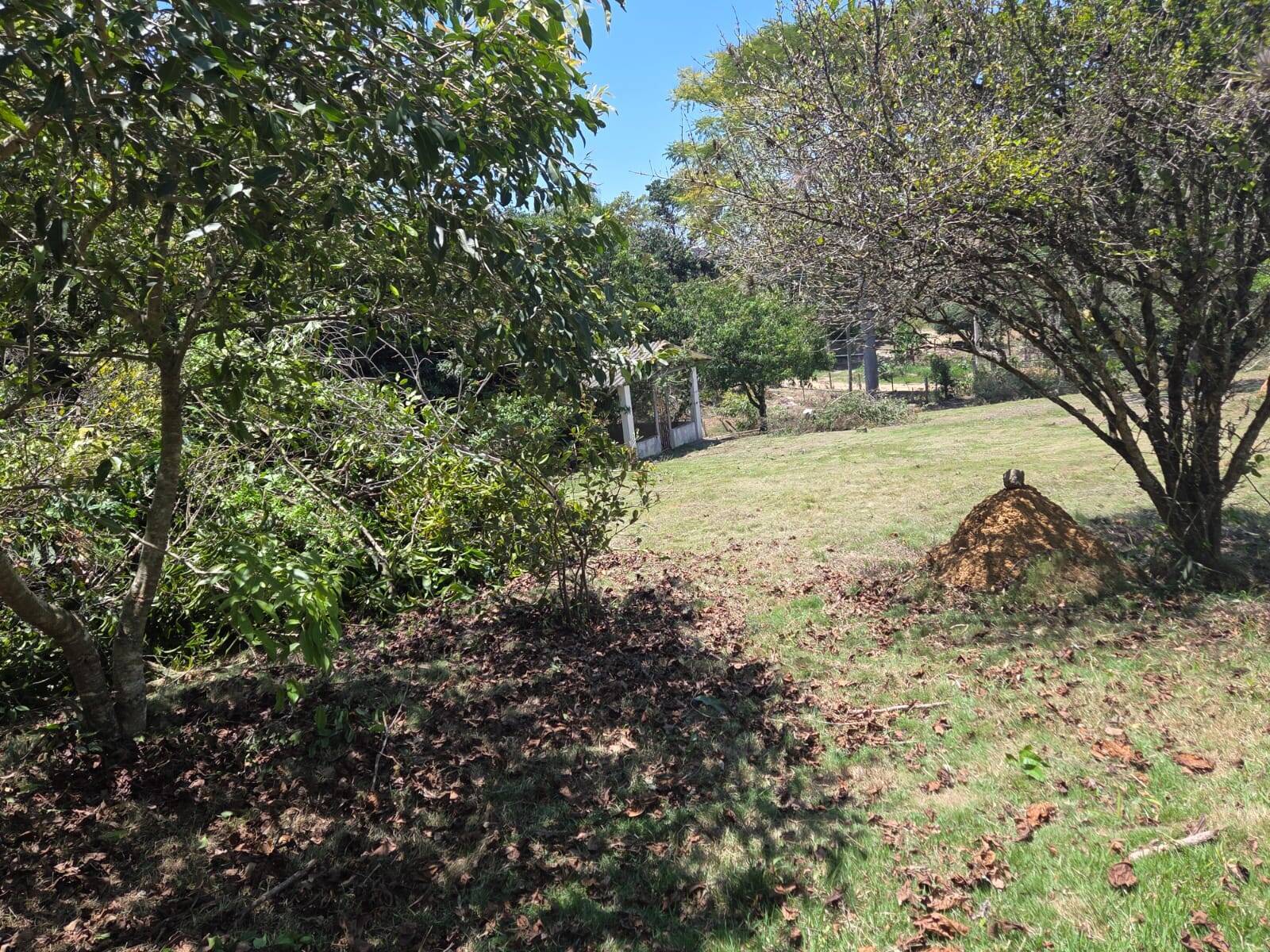 Terreno, 5600 m² - Foto 15