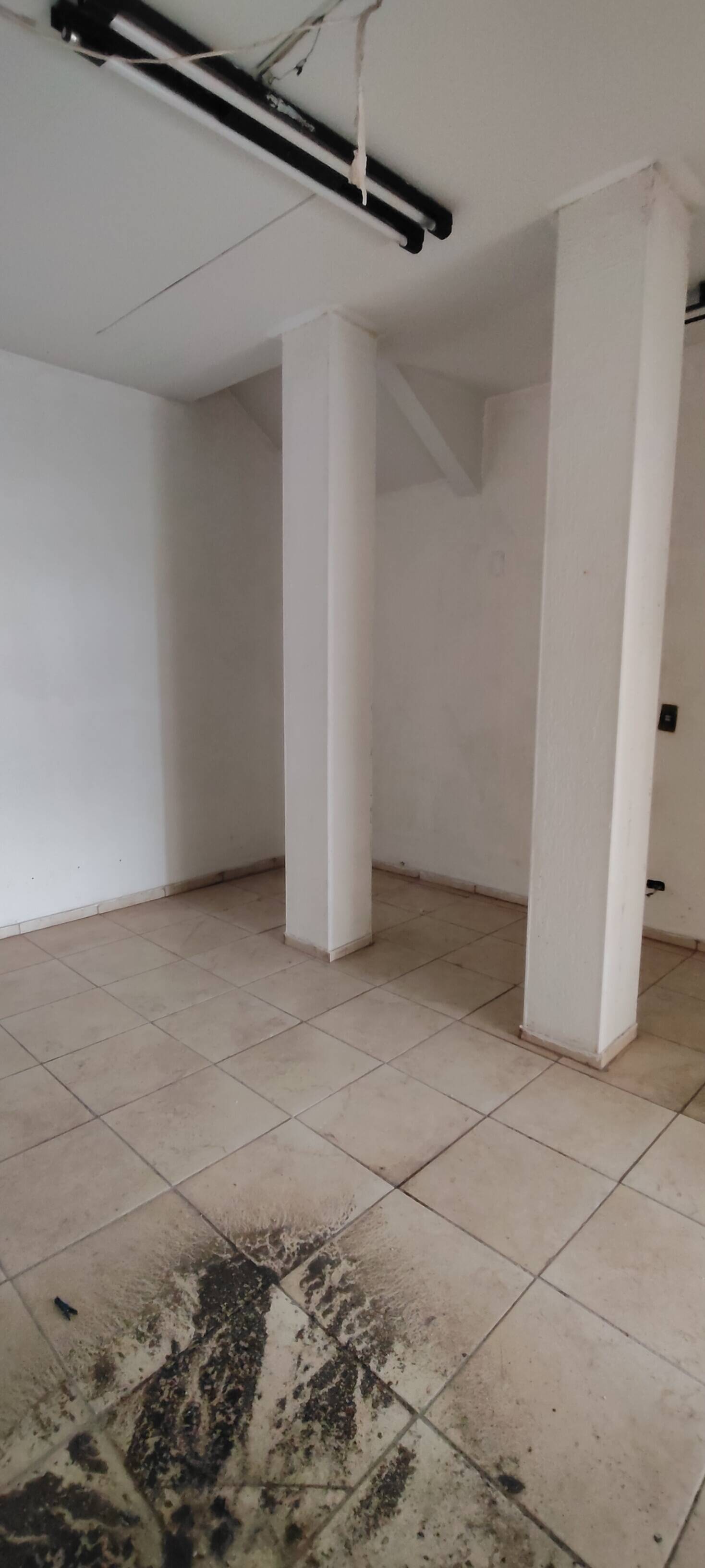 Prédio Inteiro, 239 m² - Foto 47