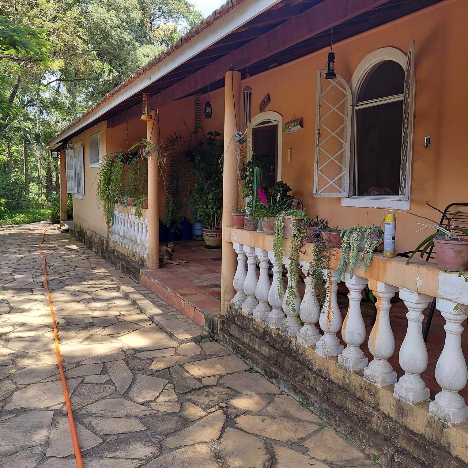 Sítio, 2 quartos, 4 hectares - Foto 10