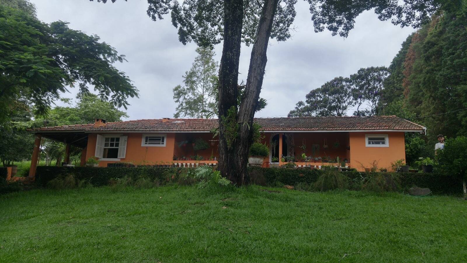 Sítio, 2 quartos, 4 hectares - Foto 14