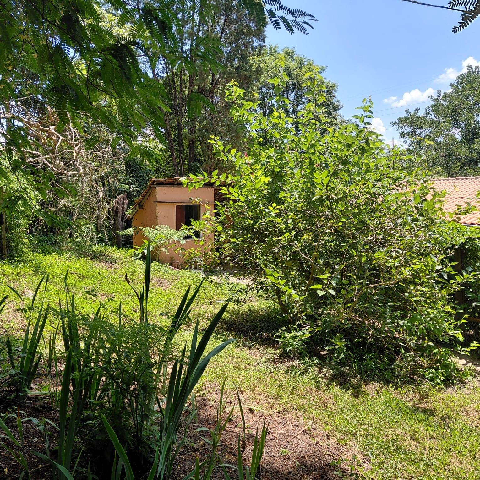 Sítio, 2 quartos, 4 hectares - Foto 31