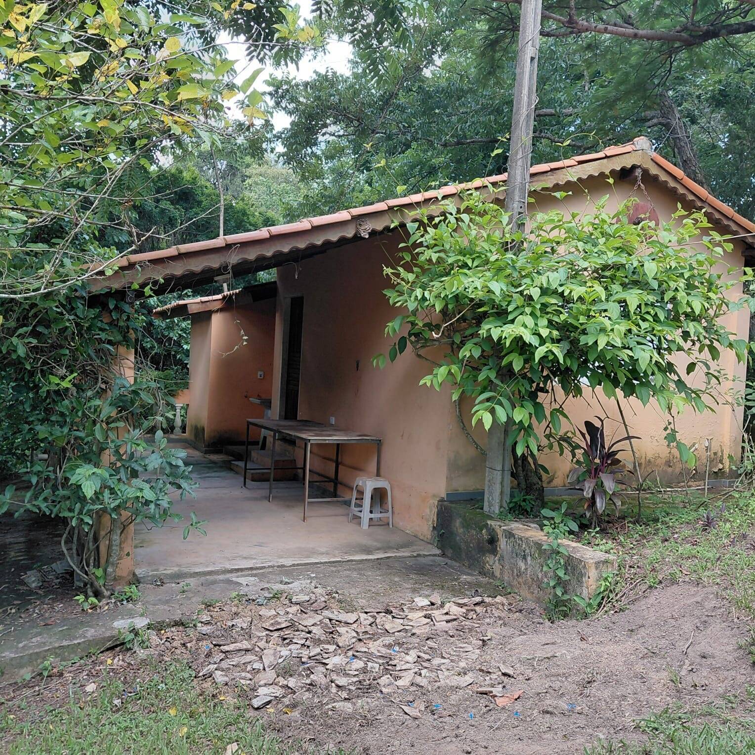 Sítio, 2 quartos, 4 hectares - Foto 36