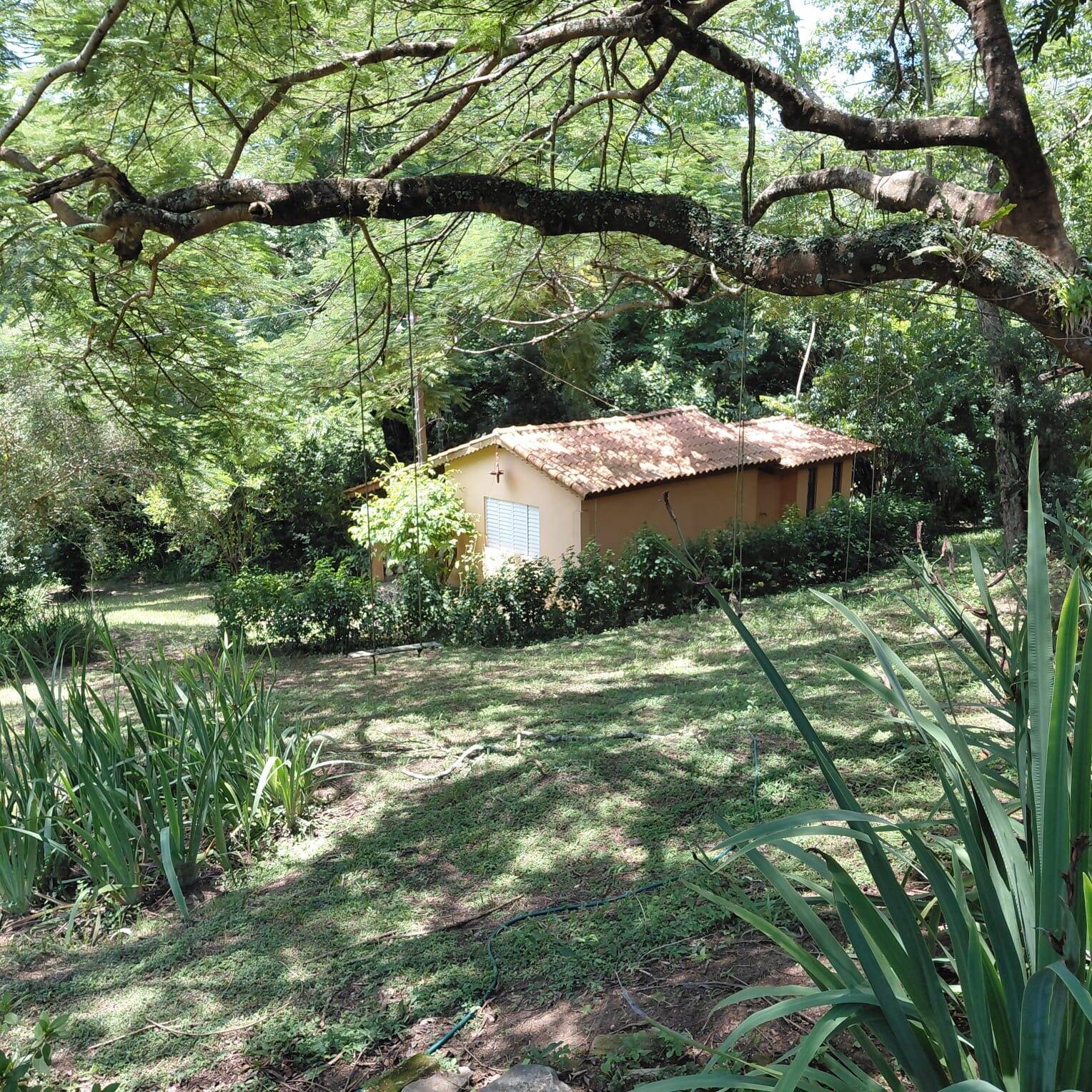 Sítio, 2 quartos, 4 hectares - Foto 45