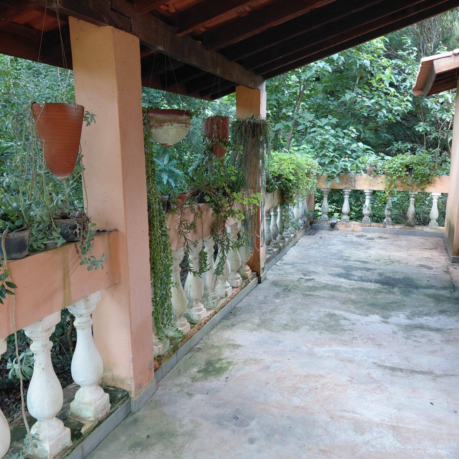 Sítio, 2 quartos, 4 hectares - Foto 47