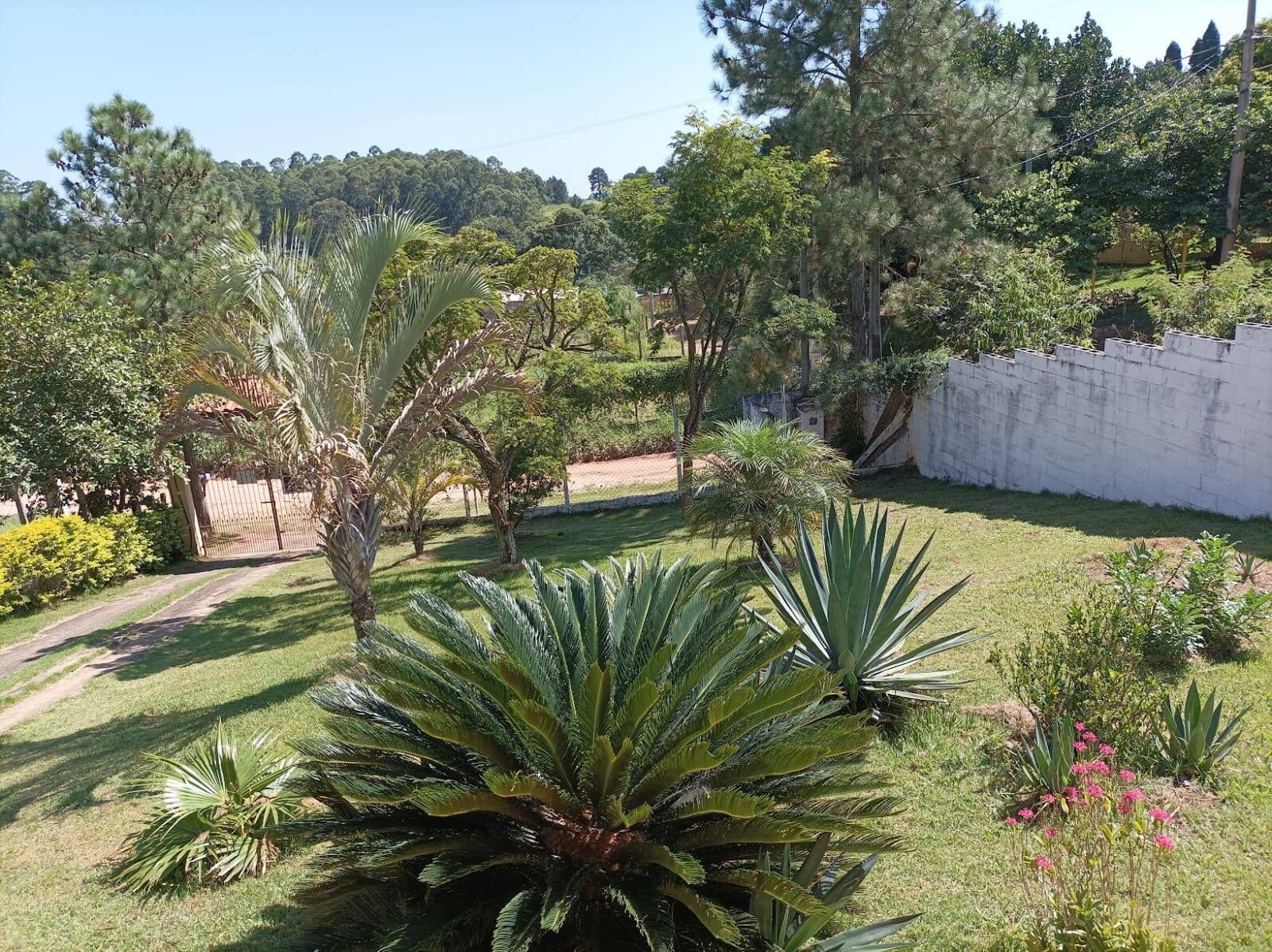 Sítio, 3 quartos, 1433 m² - Foto 5