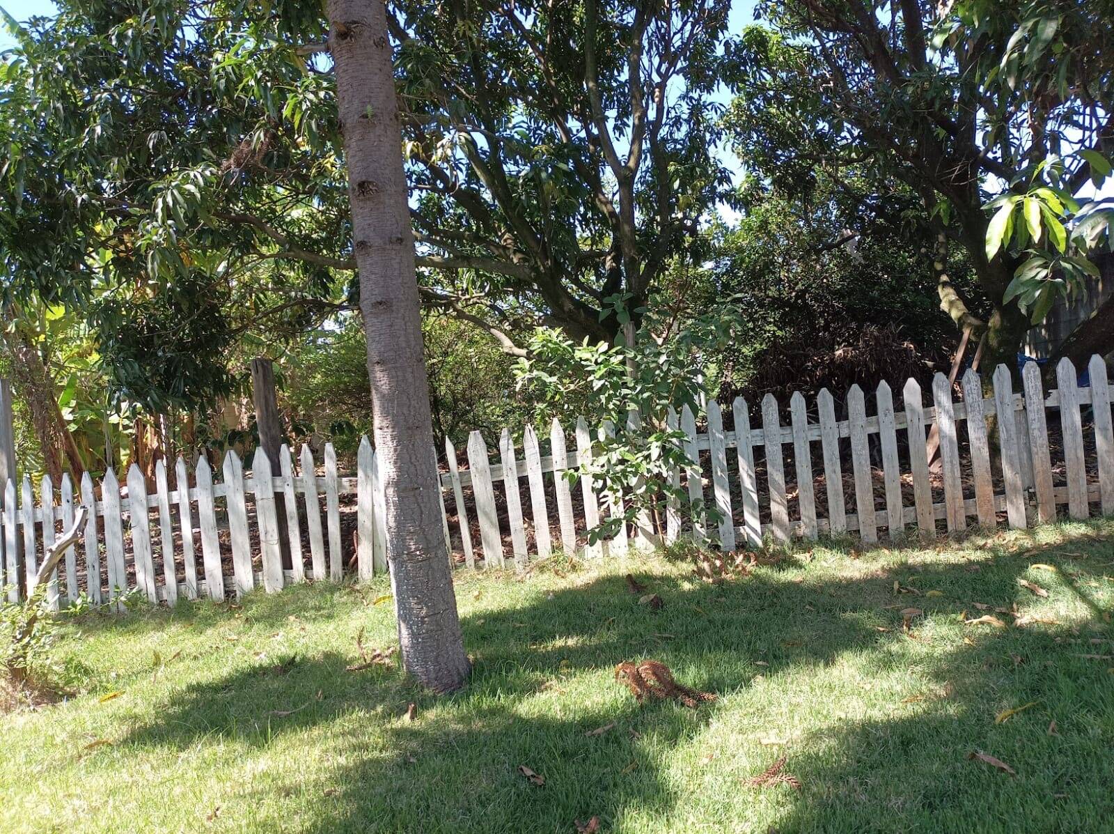 Sítio, 3 quartos, 1433 m² - Foto 6