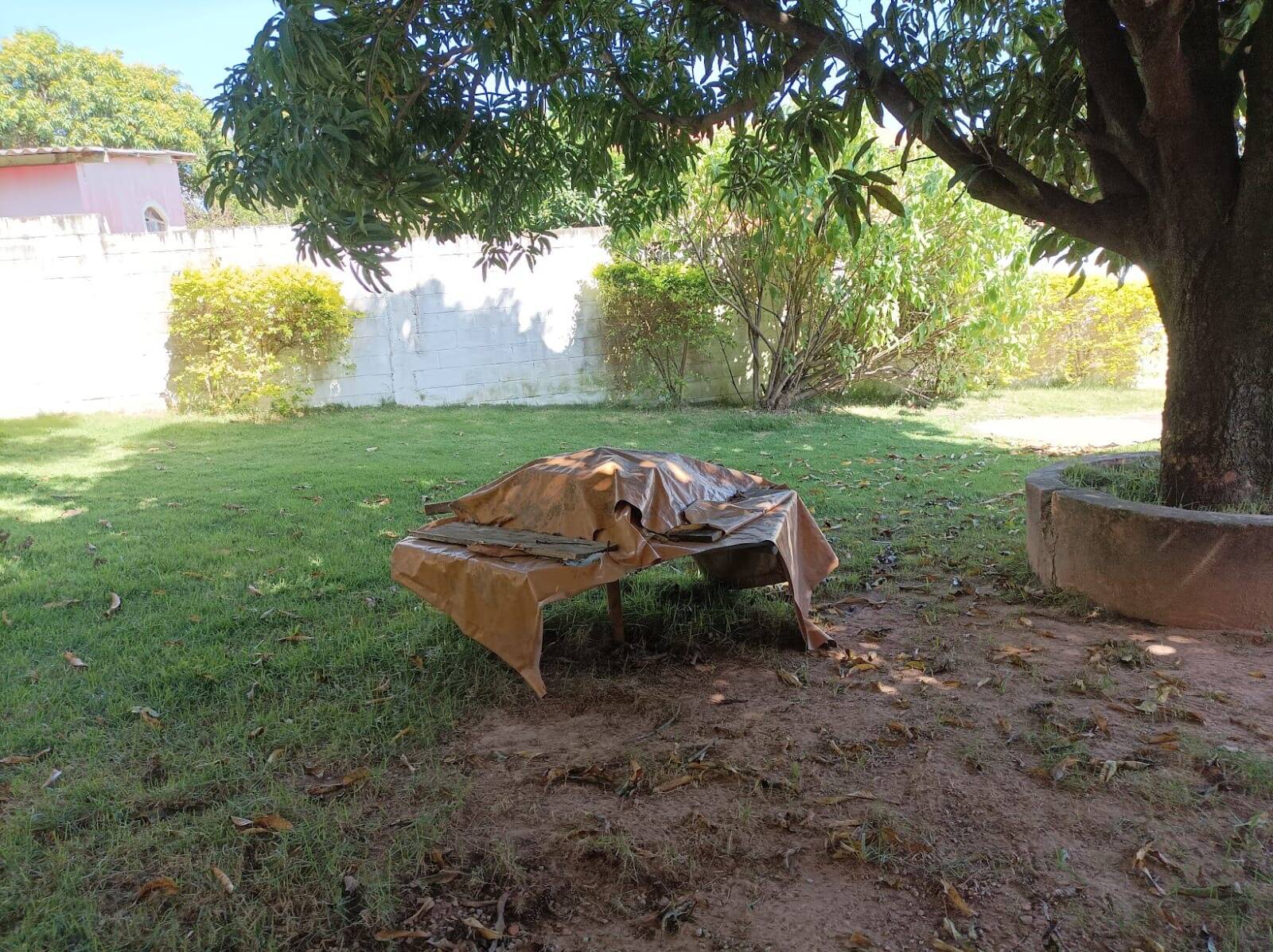 Sítio, 3 quartos, 1433 m² - Foto 15