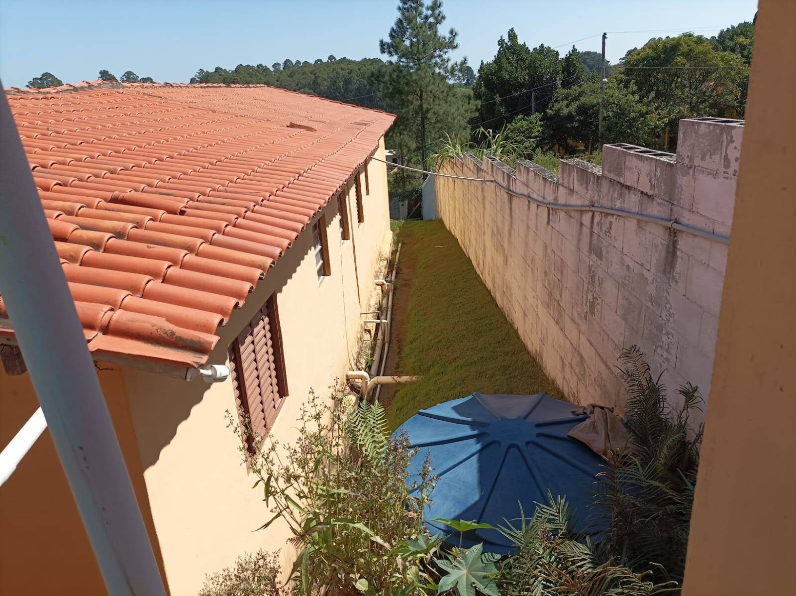 Sítio, 3 quartos, 1433 m² - Foto 25