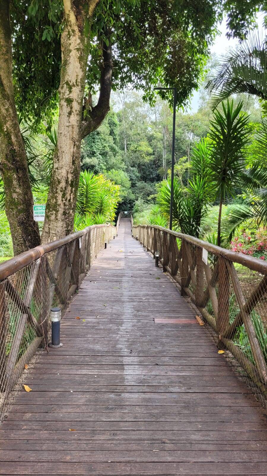 Apartamento, 2 quartos - Foto 33