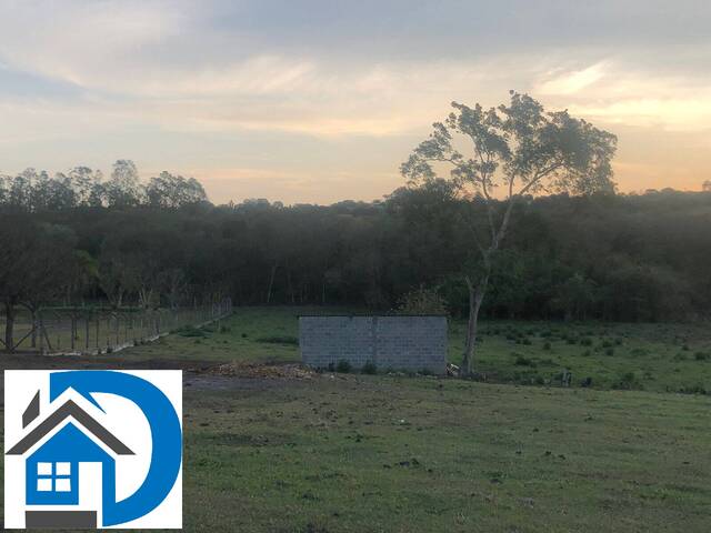 #199 - Terreno para Venda em Capela do Alto - SP - 3