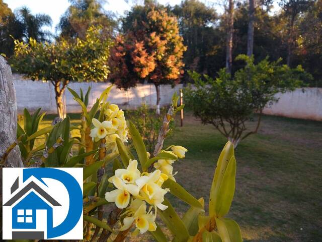 Chácara para Venda em Araçoiaba da Serra - 4