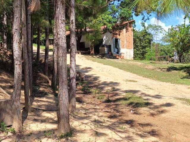 #1215 - Chácara para Venda em Itu - SP - 3