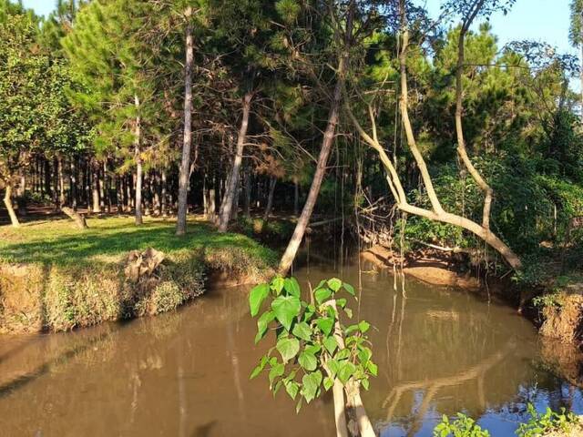 #1215 - Chácara para Venda em Itu - SP - 1