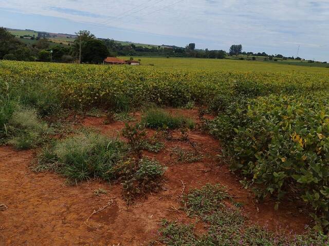 #1275 - Sítio para Venda em Itaporanga - SP - 1