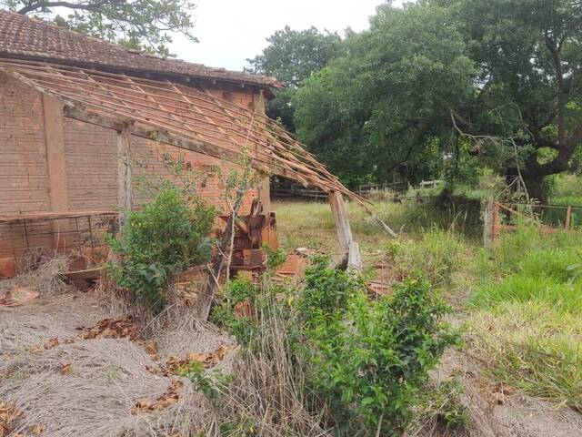 Sítio para Venda em Itaporanga - 4