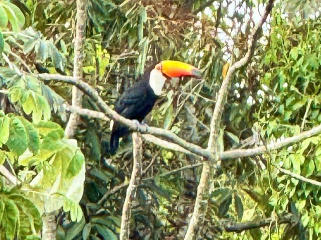 Terreno em condomínio para Venda em Sorocaba - 5