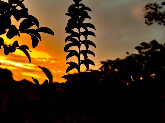 #1299 - Terreno em condomínio para Venda em Sorocaba - SP - 3