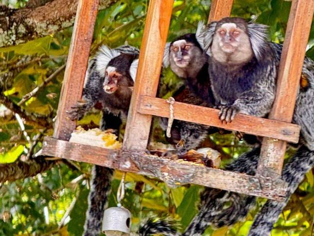 #1302 - Terreno em condomínio para Venda em Sorocaba - SP - 3