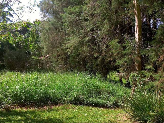 Terreno em condomínio para Venda em Vargem Grande Paulista - 4