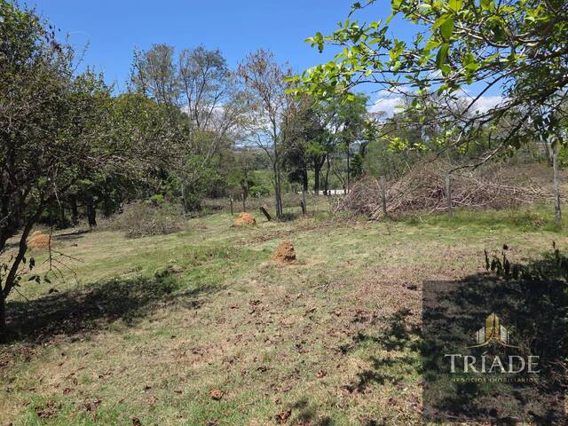 Chácara para Venda em Salto de Pirapora - 4